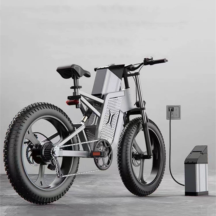 Off-road Electric Bike