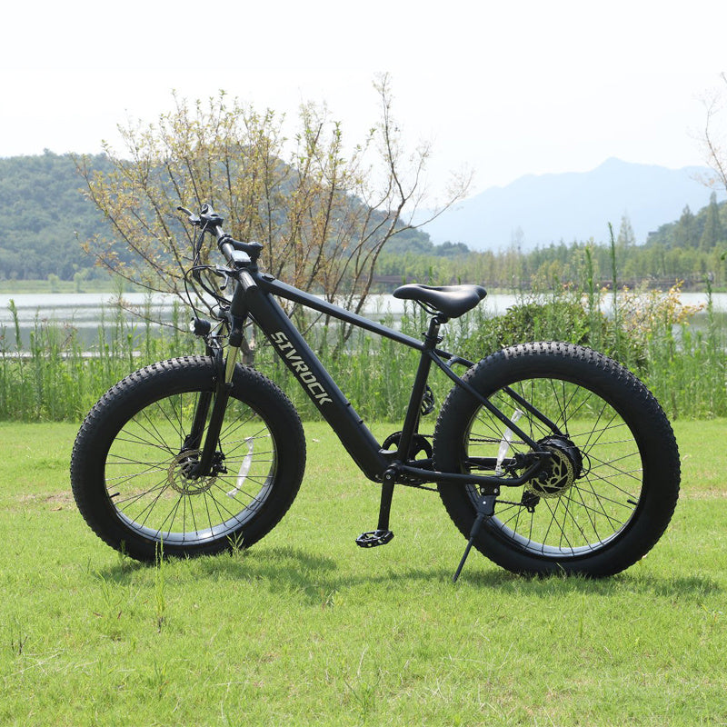 ELECTRIC BIKE Mountain Bike V1