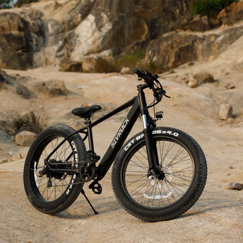 ELECTRIC BIKE Mountain Bike V1