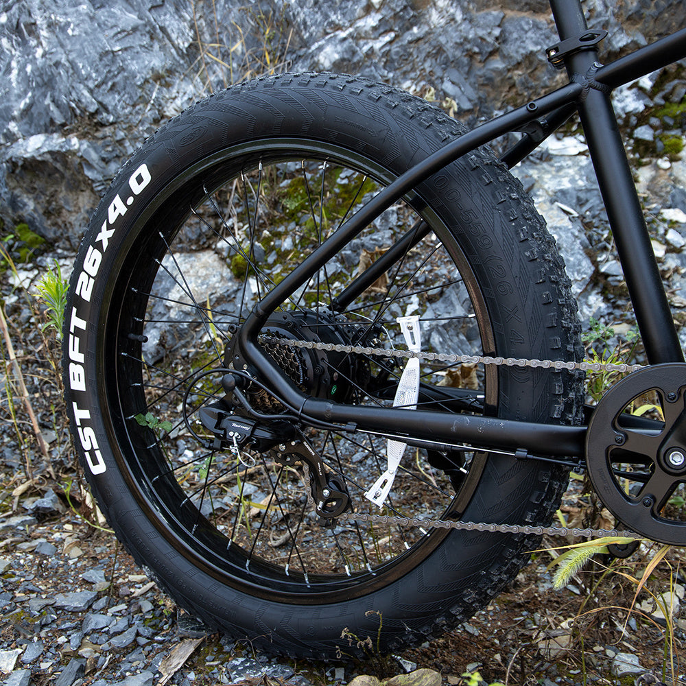 ELECTRIC BIKE Mountain Bike V1