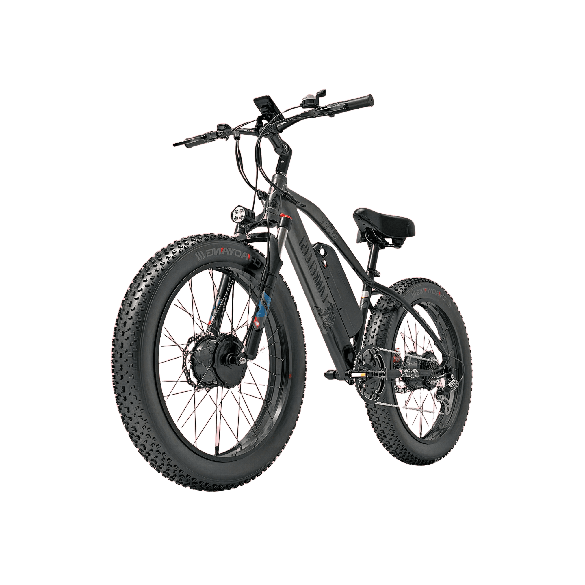 RV800 ELECTRIC BIKE